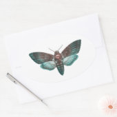 Sticker Ovale La tête de mort de Hawkmoth (Enveloppe)