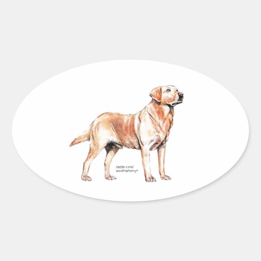 Sticker Ovale Labrador Retriever (Devant)