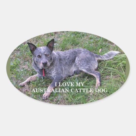 Sticker Ovale L'amour du chien de bétail australien avec pic (Devant)