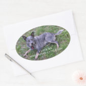 Sticker Ovale L'amour du chien de bétail australien avec pic (Enveloppe)