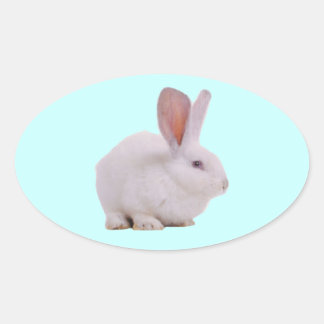 Sticker Ovale Lapin Mignon Kawaii
