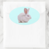 Sticker Ovale Lapin Mignon Kawaii (Sac)