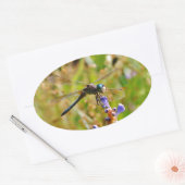 Sticker Ovale Lavande (Enveloppe)