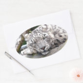 Sticker Ovale Léopard de neige - beau ! (Enveloppe)