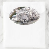 Sticker Ovale Léopard de neige - beau ! (Sac)