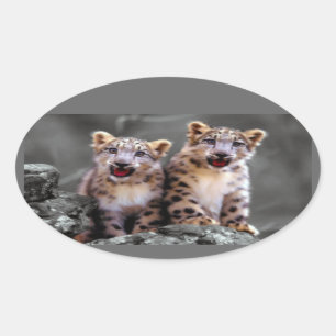 Sticker Ovale Léopard de neige CUB