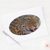 Sticker Ovale Leopard tacheté (Enveloppe)