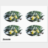Sticker Ovale Les jonquilles jaunes dans la neige (Feuille)