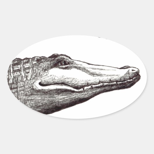 Sticker Ovale Les libellules d'alligator crocodile dessin d'art (Devant)