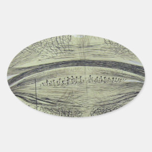 Sticker Ovale Les neurones spinaux de Cajal - 5