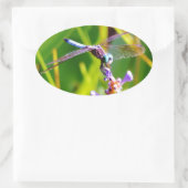 Sticker Ovale libellule turquoise et violette (Sac)