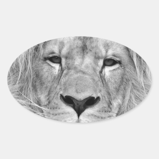 Sticker Ovale Lion noir et blanc (Devant)