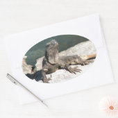 Sticker Ovale Lizard (Enveloppe)