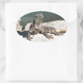 Sticker Ovale Lizard (Sac)