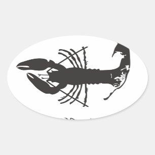 STICKER OVALE LOBSTER CAPE COD