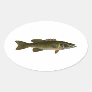 Sticker Ovale Logo de basse de Smallmouth