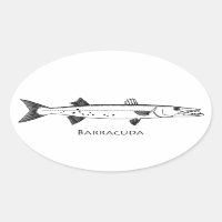 Logo Great Barracuda