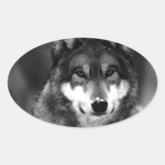 Sticker Ovale Loup (Devant)