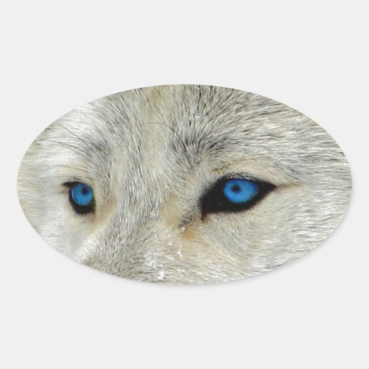 Sticker Ovale Loup blanc d'Oeil bleu (Devant)