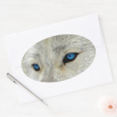 Sticker Ovale Loup blanc d'Oeil bleu (Enveloppe)