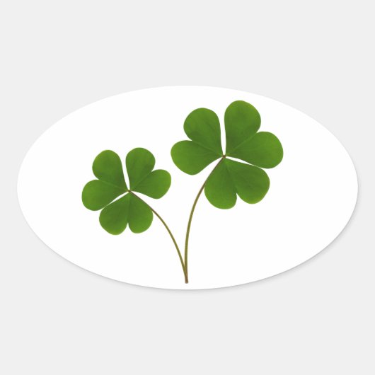 Sticker Ovale Lucky (Devant)