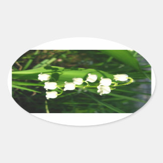 Sticker Ovale Lys Des Fleurs De Vallée