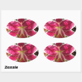 Sticker Ovale Lys roses fleurs tropicales roses rose (Feuille)