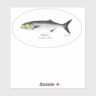 Sticker ovale M Vinyl Bluefish