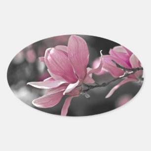 Sticker Ovale Magnolia
