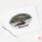 Sticker Ovale Maine Bull Moose (Enveloppe)