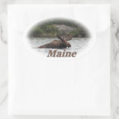 Sticker Ovale Maine Bull Moose (Sac)