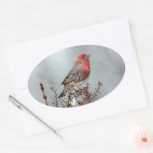 Sticker Ovale Maison Finch en Neige - Photo originale (Enveloppe)