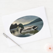 Sticker Ovale Mallard Duck (Enveloppe)