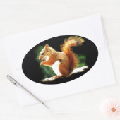 Sticker Ovale Manger l'écureuil (Enveloppe)