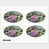 Sticker Ovale Mapleleaf Viburnum Feuilles d'automne et baies (Feuille)