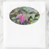 Sticker Ovale Mapleleaf Viburnum Feuilles d'automne et baies (Sac)
