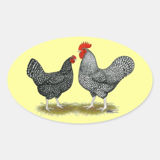 Sticker Ovale Marans : Paire de cacao (Devant)