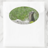 Sticker Ovale marmottes (Sac)