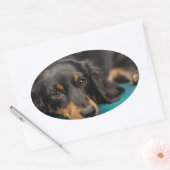 Sticker Ovale Mignet Dachshund Se Pose En Bas (Enveloppe)