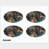 Sticker Ovale Mignet Dachshund Se Pose En Bas (Feuille)