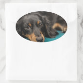 Sticker Ovale Mignet Dachshund Se Pose En Bas (Sac)