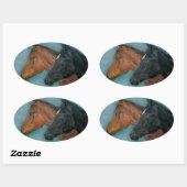 Sticker Ovale mignon poulain noir poulain colt portrait cheval (Feuille)