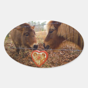 Sticker Ovale Miniature Donkey & Horse Valentine Heart