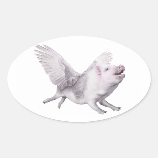 Sticker Ovale Miracles Possibilité Joy Flying Pigs When Pigs Fly (Devant)