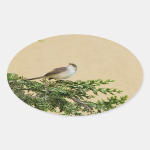 Sticker Ovale Moineau