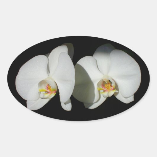 Sticker Ovale Moments tranquilles (Devant)