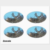 Sticker Ovale Monster mule deer buck (Feuille)