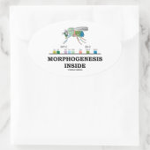Sticker Ovale Morphogenèse à l'intérieur de Drosophila Fruit Gèn (Sac)
