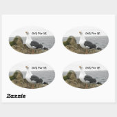 Sticker Ovale Mouette de tête de teint drôle (Feuille)