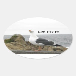 Sticker Ovale Mouette drôle de tête d'inclinaison